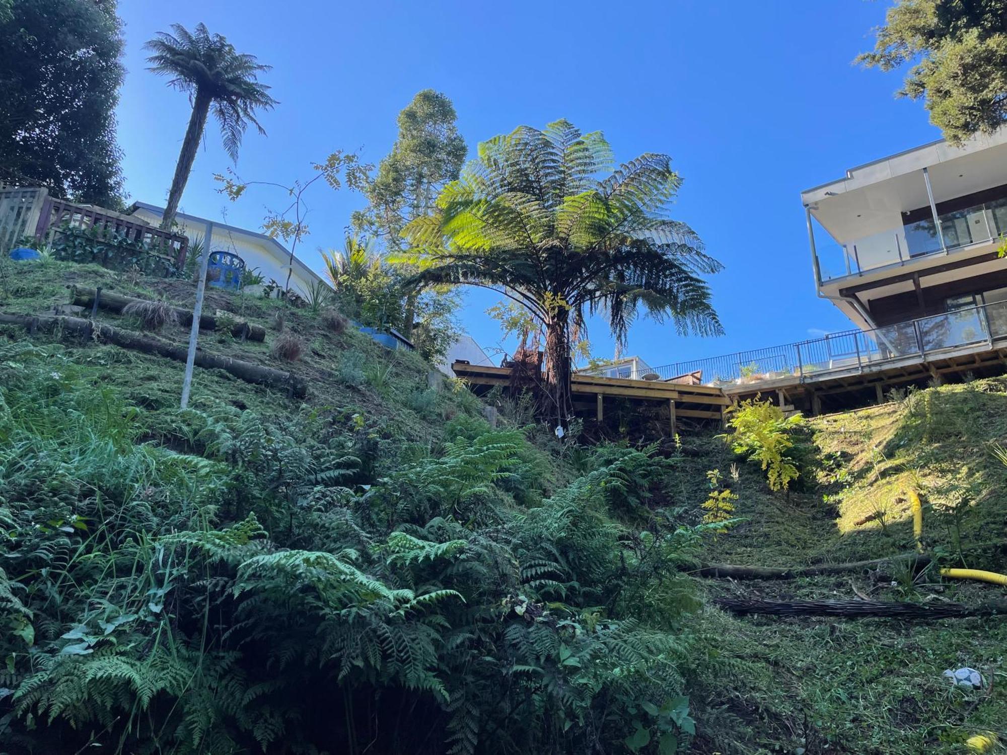 汉密尔顿 Gully Retreat酒店 外观 照片