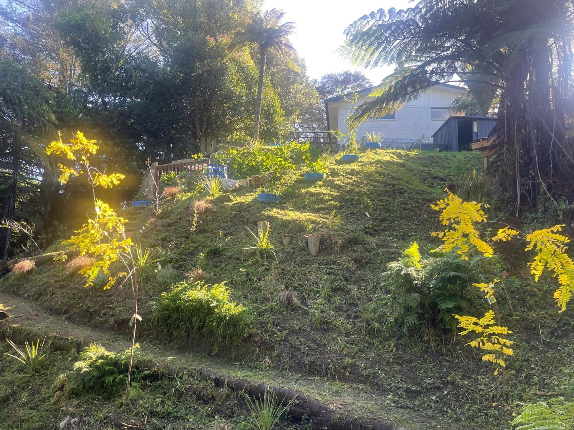 汉密尔顿 Gully Retreat酒店 外观 照片